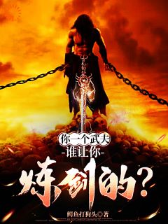 秦关南柔小说你一个武夫，谁让你炼剑的？免费阅读