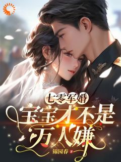 七零军婚，宝宝才不是万人嫌邓紫芙叶星朗小说全文阅读