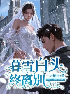 陆景琛沈诗涵主角小说暮雪白头终离别抖音文免费阅读全文