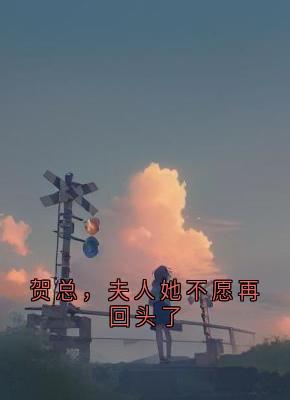 好书推荐贺总，夫人她不愿再回头了岑烟贺南屿全文在线阅读