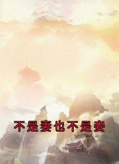 无广告小说不是妻也不是妾-谢知唯沈钰在线阅读-随缘阅读网