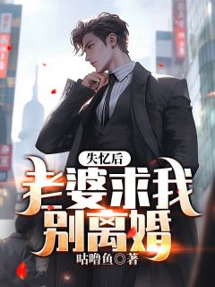 抖音完结失忆后，老婆求我别离婚唐夜泽傅雪儿(全文在线阅读)