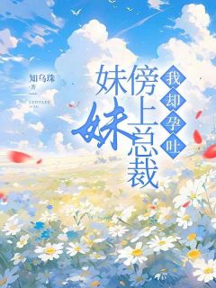 妹妹傍上总裁，我却孕吐小说(完结)-傅行简沈知礼沈宜宁无删减阅读-随缘阅读网