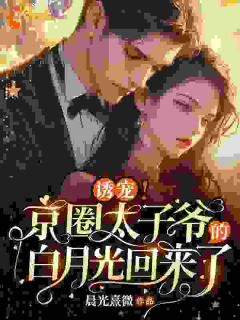 纪繁星厉景琛吻星唇！禁欲大佬夜沦陷全文(纪繁星厉景琛)章节免费阅读