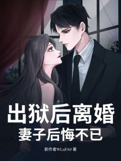 熬夜也要看完的出狱后离婚，妻子后悔不已小说推荐