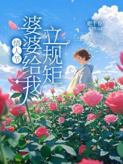 情人节，婆婆给我立规矩知乎后续免费试读-随缘阅读网