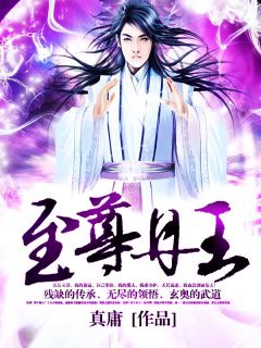 (精品)至尊丹王小说