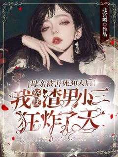 林苏纪承允是哪部小说的主角 母亲被害三十天后，我怒踩渣男小三狂炸了天全文无弹窗