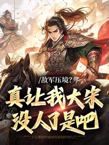 主角燕然苏青莲小说爆款敌军压境？真让我大宋没人了是吧完整版小说