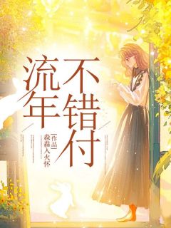 抖音流年不错付txt小说阅读