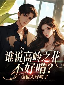 完整版傅机长，太太又提离婚了司瑶傅霆夜小说免费在线阅读