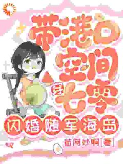 带港口空间穿七零，闪婚随军海岛陈初玖赵春苗小说全章节最新阅读