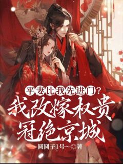 慕窈陆秩平妻比我先进门?我改嫁权贵冠绝京城全文(慕窈陆秩)章节免费阅读-随缘阅读网