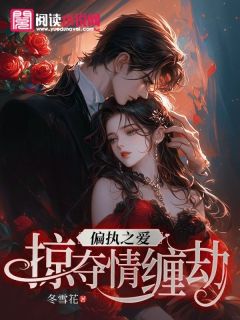 值得熬夜看完的偏执之爱：掠夺情缠劫小说阅读