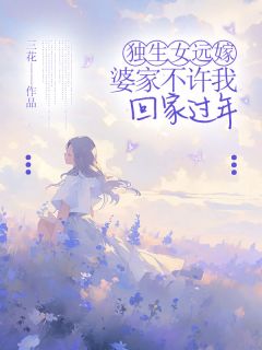 独生女远嫁，婆家不许我回家过年张容容李康乐-小说txt全文阅读