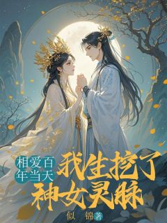 主角沈清也洛欺风的小说作者似锦
