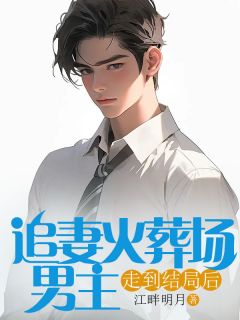 抖音爆款追妻火葬场男主走到结局后宋清安白冉卿无广告阅读