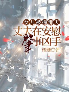 作者栖珊写的女儿被撞那天，丈夫在安慰肇事凶手小说大结局全章节阅读