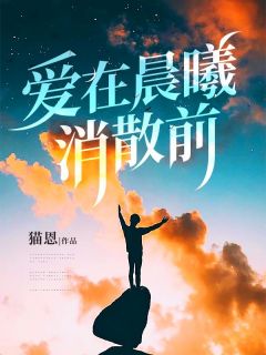 爱在晨曦消散前秦远明苏言乔陆晓笙小说全文阅读