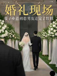 无弹窗小说婚礼现场，妻子牵着初恋男友走完了红毯 作者局部宇宙-随缘阅读网