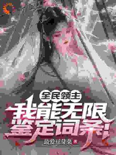 值得熬夜看完的全民领主：我能无限鉴定词条！小说阅读