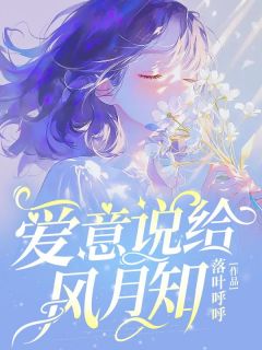 爱意说给风月知小说的书名是什么