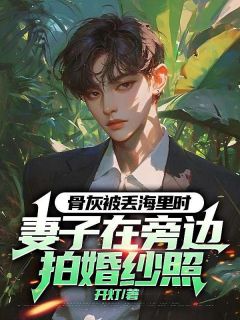 精品小说骨灰被丢海里时，妻子在旁边拍婚纱照全文目录畅读-随缘阅读网