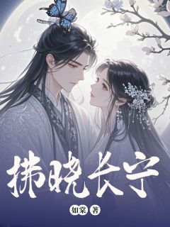 【拂晓长宁】主角(苏晓陆宁宁陆明川)在线阅读-随缘阅读网
