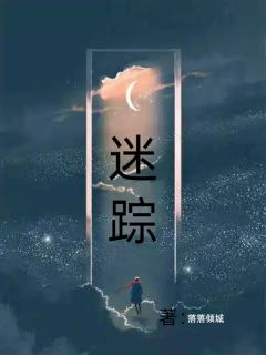 柳明启小说<迷踪>全文在线阅读