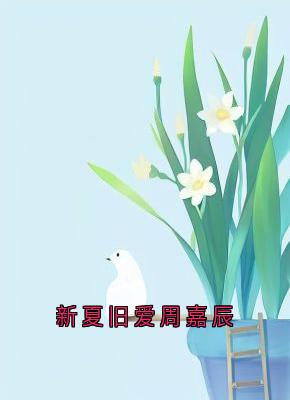 无弹窗小说新夏旧爱周嘉辰 作者连雾