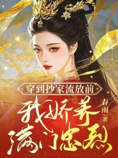 穿到抄家流放前，我娇养满门忠烈(贺兰声沈斯聿)最新章节