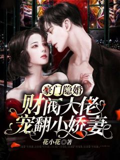 豪门隐婚，财阀大佬宠翻小娇妻小说-于浅浅君玿城全篇阅读