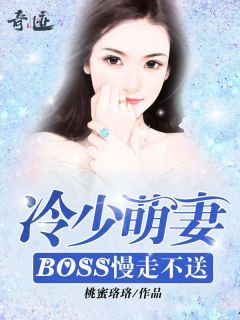 抖音小说洛晓靖冷御洛晓靖冷御无弹窗试读
