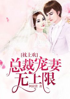 枕上欢:总裁宠妻无上限全文目录-叶以念陆宸小说无弹窗阅读-随缘阅读网