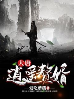 大唐逍遥赘婿免费阅读全文，主角叶晨林清雪小说完整版