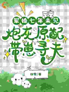 [抖音]小说安书陆铮军婚七年未见，炮灰原配带崽寻夫