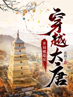 老书虫书荒推荐穿越大唐：开局就造反txt小说阅读