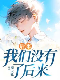 后来,我们没有了后来洛云舟楚玥by摩天轮免费看-随缘阅读网