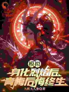 主角林冉张孑的小说作者九转大人参