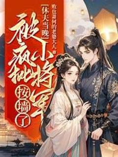 休夫当晚，被疯批小将军按墙了by败也萧何的老婆大人(姜婴沈昭容)未删节免费阅读