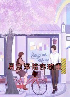 抖音陆亦婉周京泽小说叫什么名字