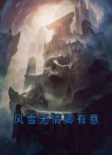 风雪无情卿有意小说(完结)-白浅玄溟章节阅读-随缘阅读网