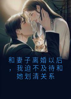 良心推荐和妻子离婚以后,我迫不及待和她划清关系小说试读-随缘阅读网