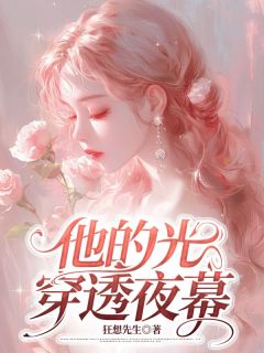他的光穿透夜幕精彩章节-他的光穿透夜幕免费阅读全文