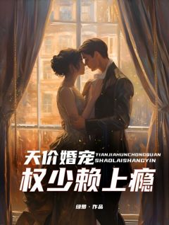 值得熬夜看完的天价婚宠：权少赖上瘾小说阅读