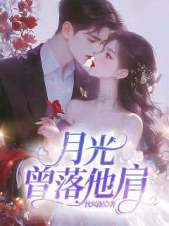 宋晚凝纪延澈小说<月光曾落他肩>全文在线阅读-随缘阅读网