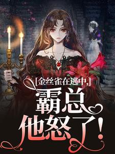 云清祈聿结局是什么 云清祈聿免费阅读全文