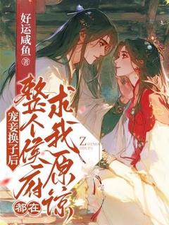 宠妾换子后，整个侯府都在求我原谅（叶宛卿陆闫）精彩小说目录阅读