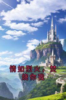【新书】情如烈火，焚烧你我主角陆宴林沈繁星全文全章节小说阅读