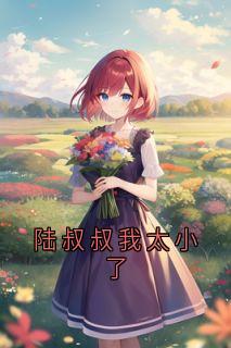 【陆叔叔我太小了】主角(陆棠政宋宝贝)在线阅读-随缘阅读网